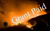 disaster grant